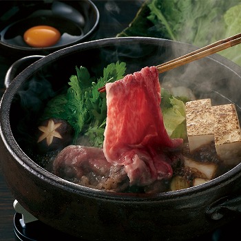 qrgXuߍ]ėpv (DOSF-200N)